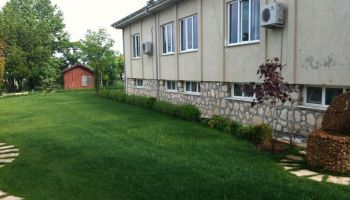 Hydroseeding